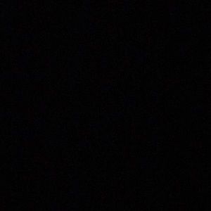 Meet your Posher, Sunny